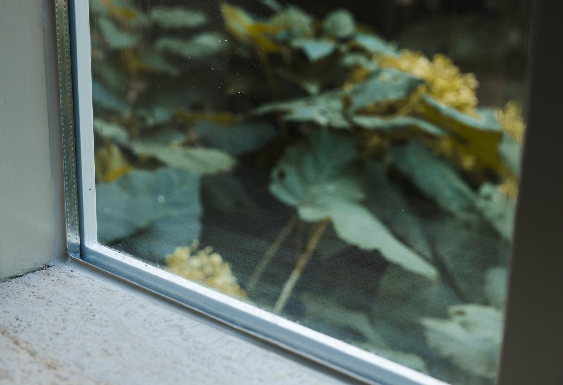 Spouw van dubbel glas ruit