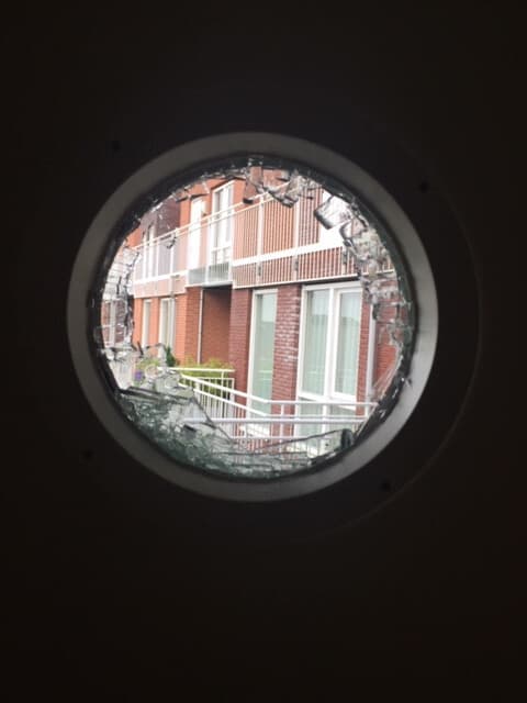 Ede ruitschade