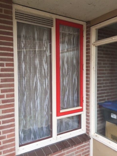 Leiden ruitschade