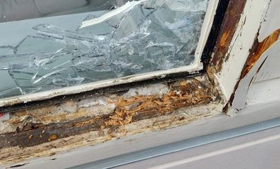 houtrot glas vervangen