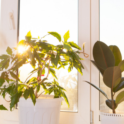 Zonwerend glas kopen? Bespaar energie en verhoog comfort in huis en kantoor